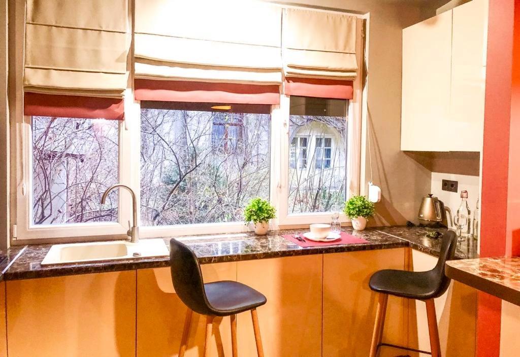 Apartments Lux In City Center Lviv Ngoại thất bức ảnh